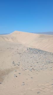 GC-Playa de Maspalomas 2026-135.jpg